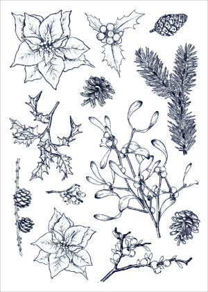 Funky Fossil A5 Stamp: Festive Greenery - CS240325