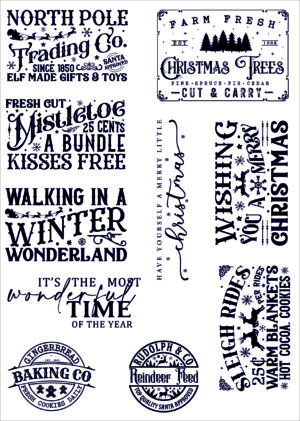 Funky Fossil A5 Stamp: Timeless Tidings - CS240323