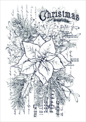 Funky Fossil A6 Stamp: Poinsettia - CS240321