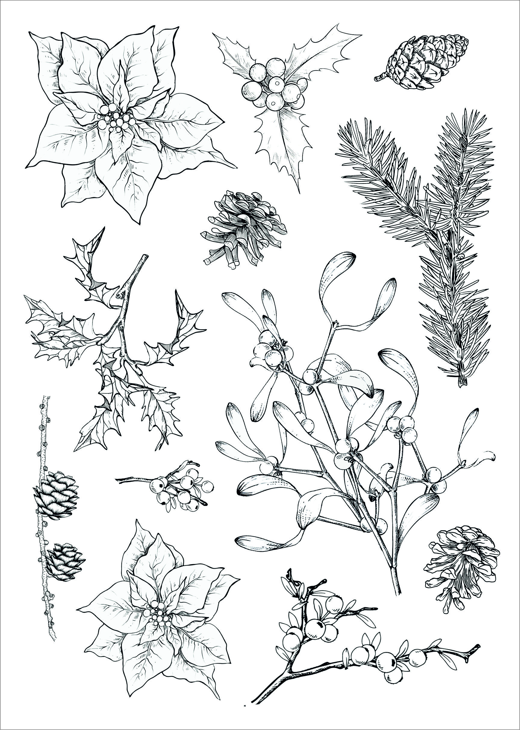 Christmas Products BUNDLE SPECIAL (MX-BD001) - Image 12