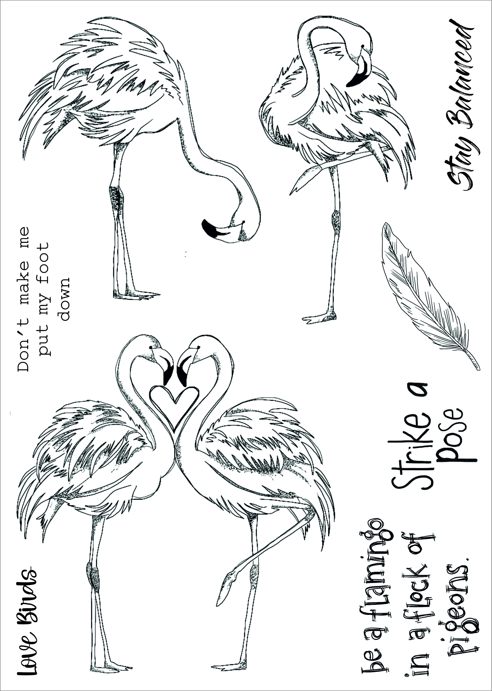Funky Fossil: Fabulous Flamingos BUNDLE SPECIAL (FF-BD002) - Image 6