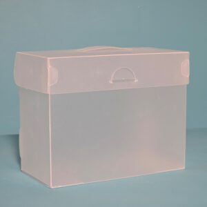 The Organized Option 4x6 File Master Storage Box with 5 Pockets (TOO-FM-4x6)