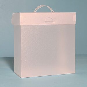 The Organized Option 6x6 File Master Storage Box with 5 Pockets (TOO-FM-6x6)