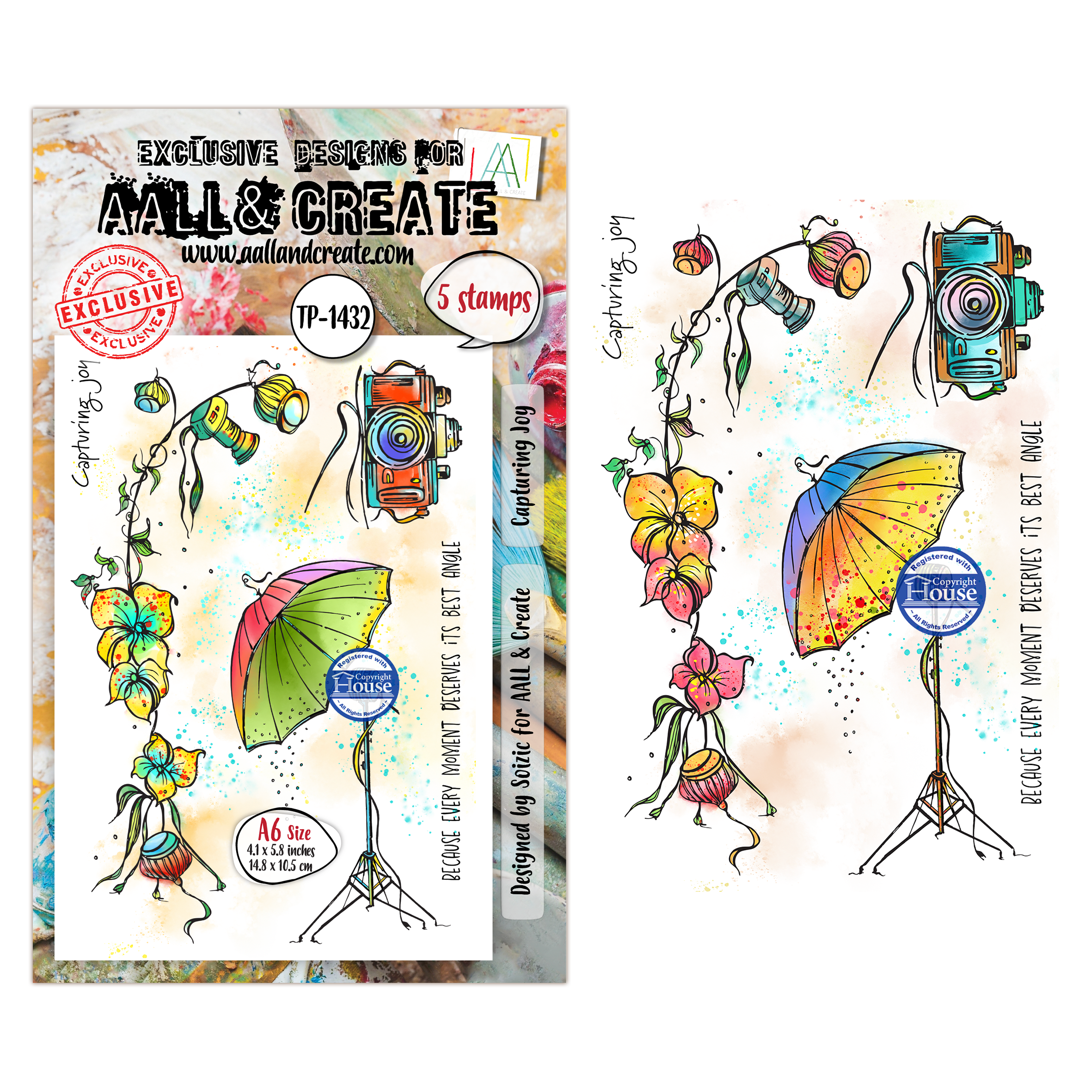 AALL & Create Stamp Sets - A6 - Through the Lens Capturing Joy (AALL-TP-1432)